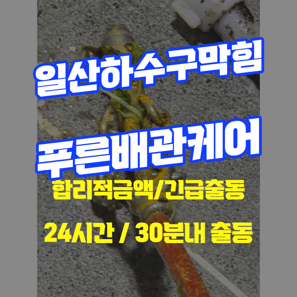 일산하수구막힘