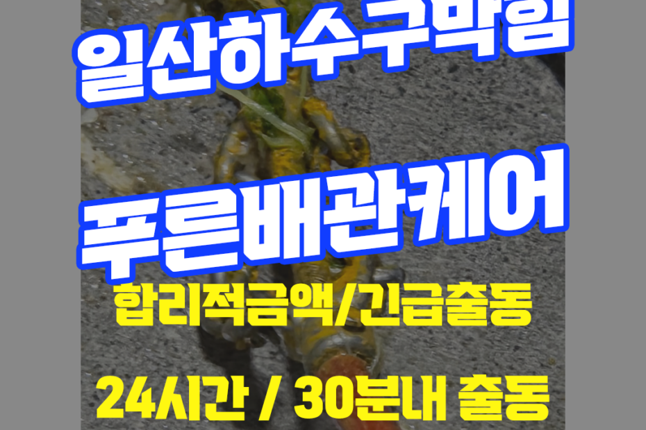 일산하수구막힘