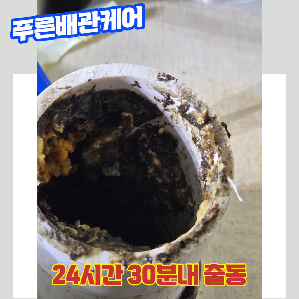 고양배관막힘