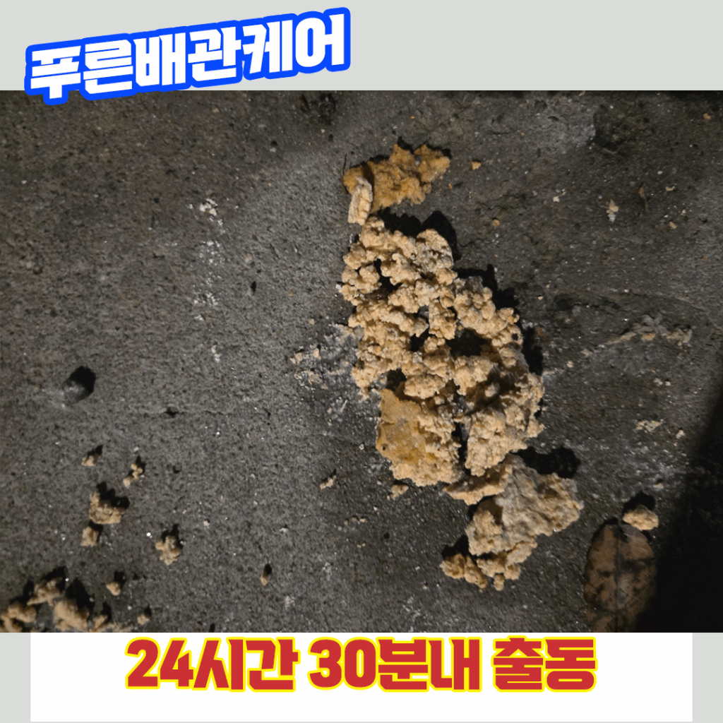 하수구막힘