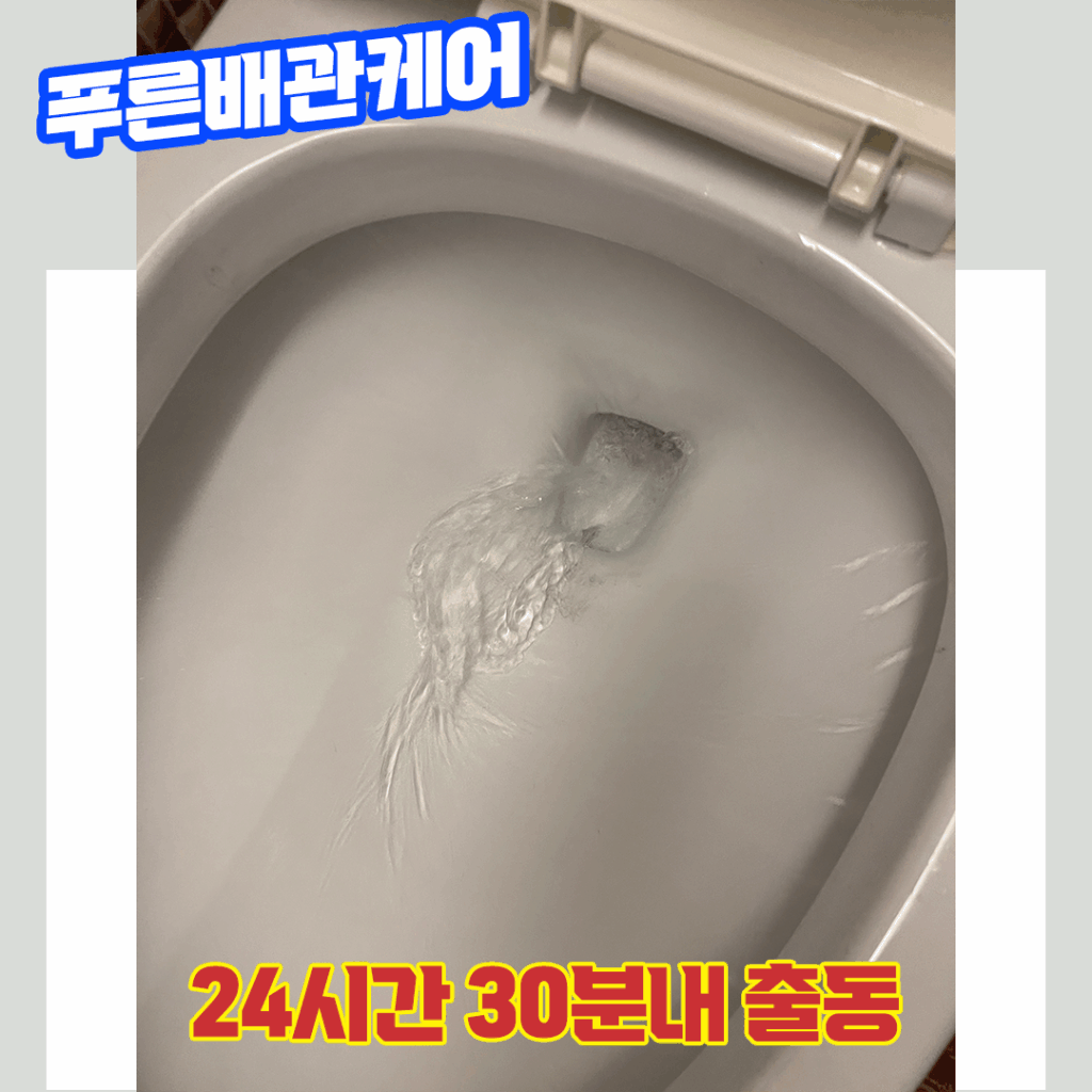 변기막힘
