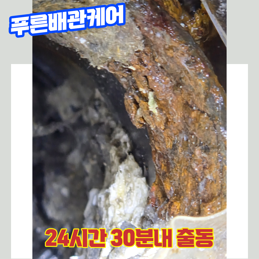 화장실막힘