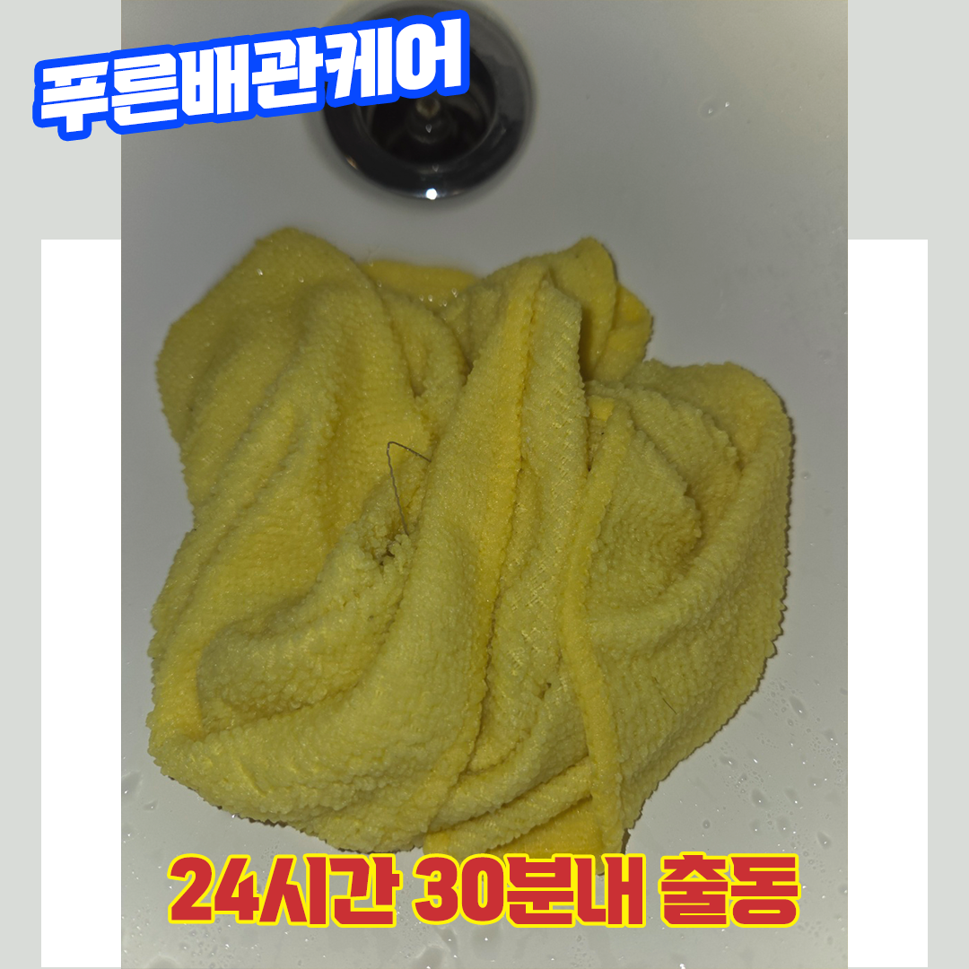 변기막힘