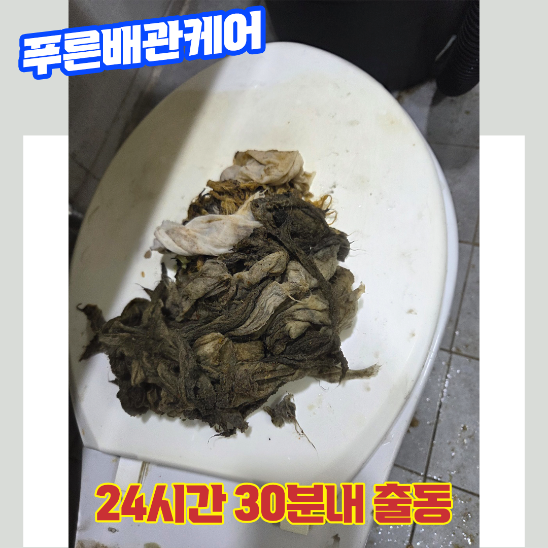 강남변기막힘