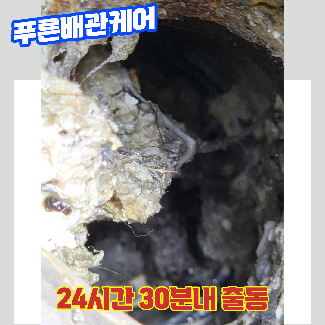 화장실막혔을때