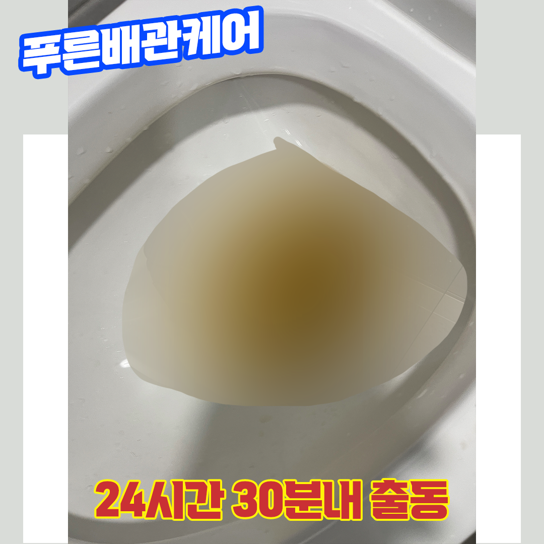 정자동변기막혔을때