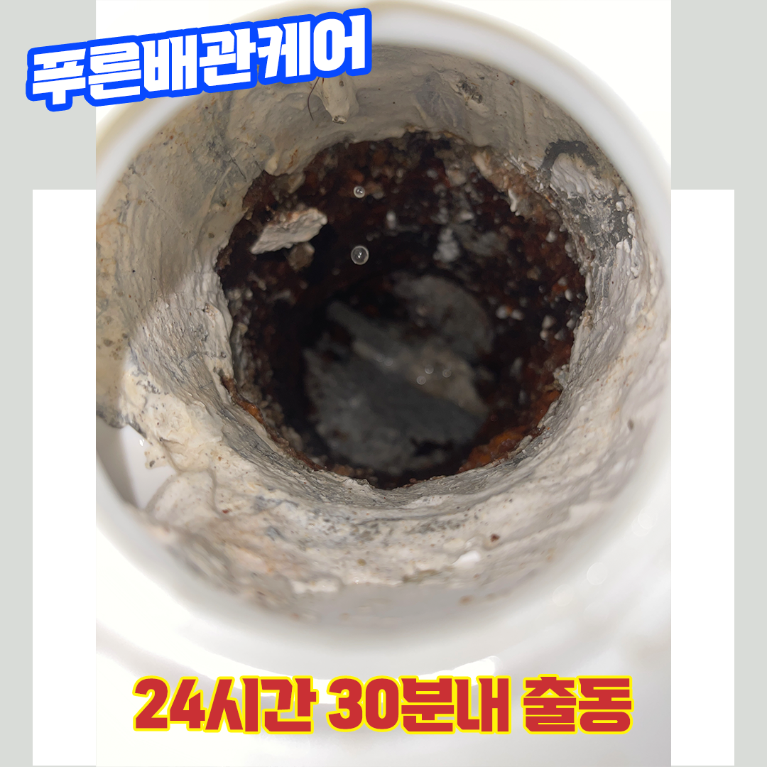 변기막힘