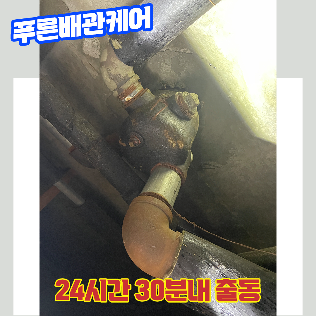 정자동변기막힘