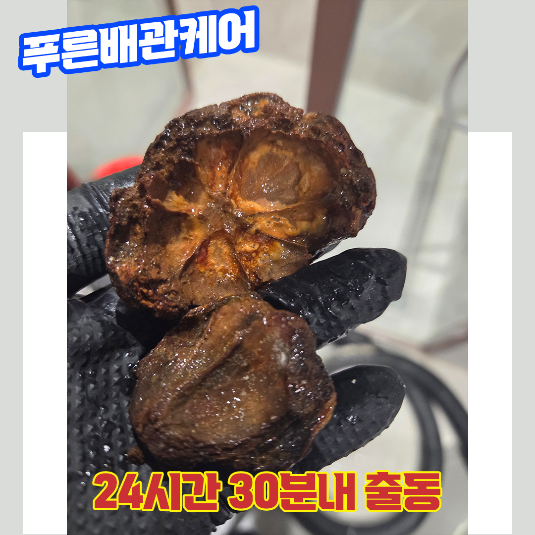 서울화장실막힘
