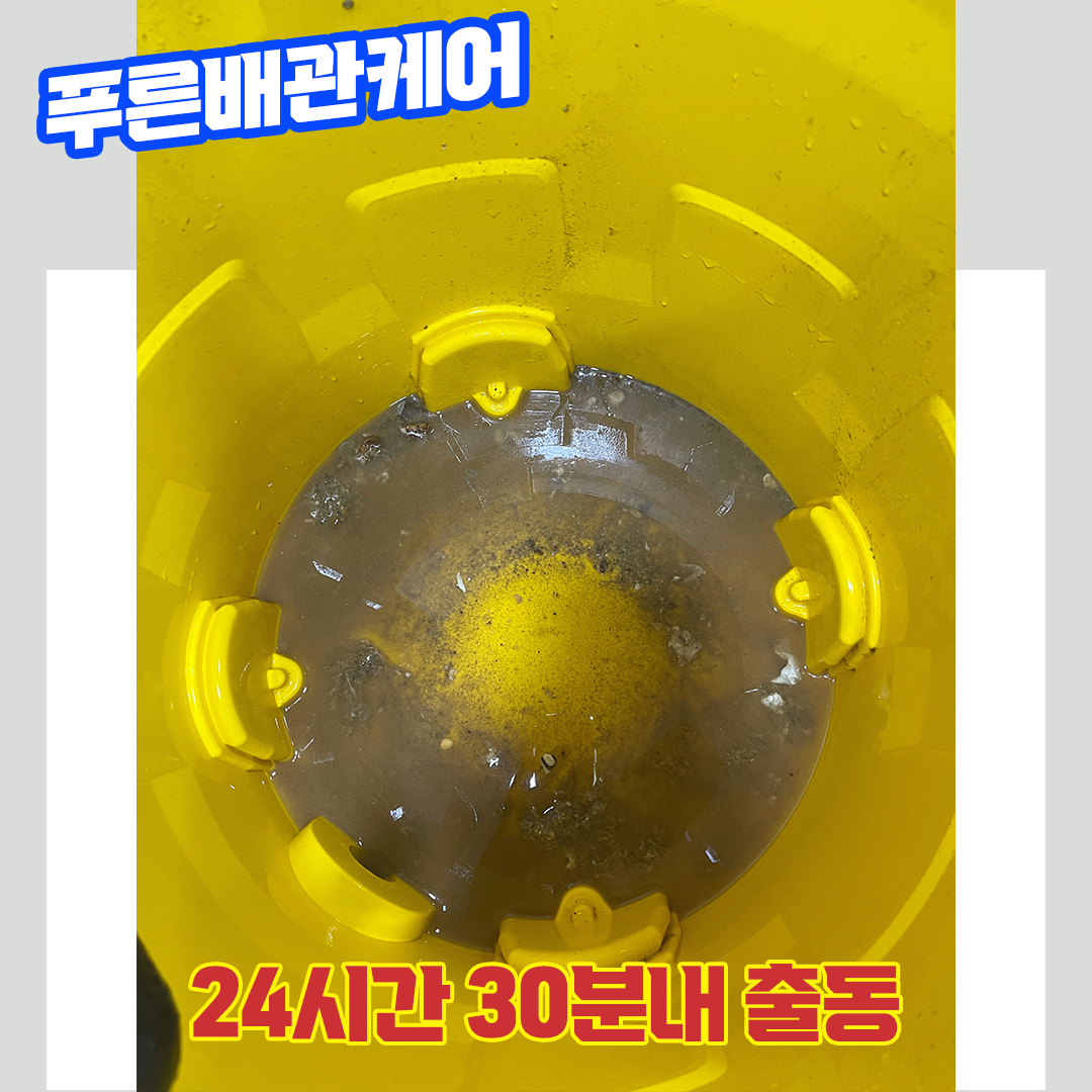 정자동변기뚫는업체