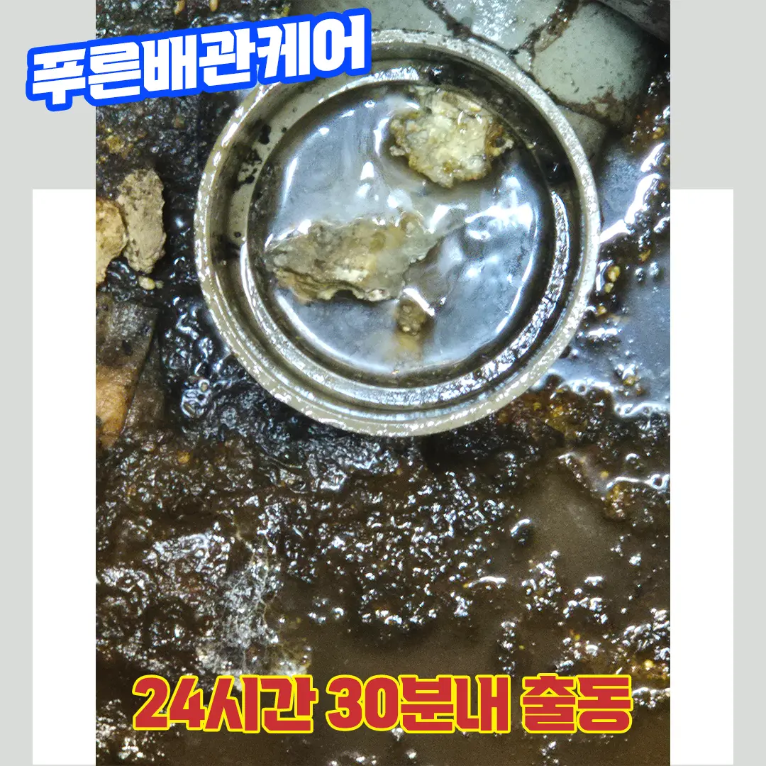 수원변기막힘