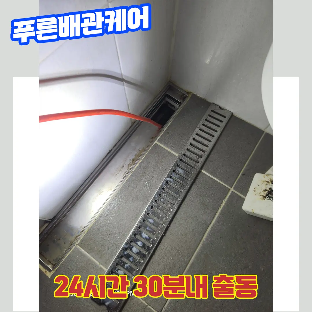 일산화장실막혔을때