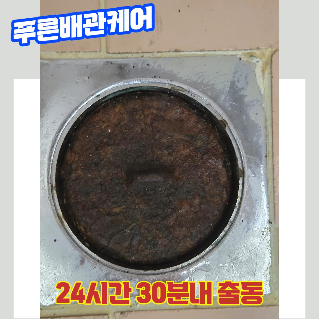 동대문화장실막힘