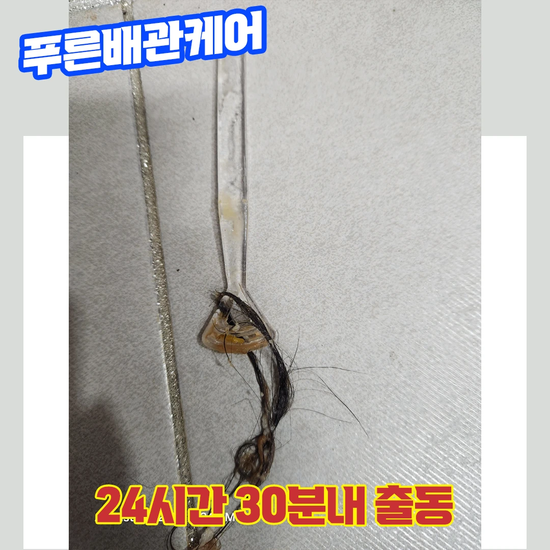 시흥변기막혔을때
