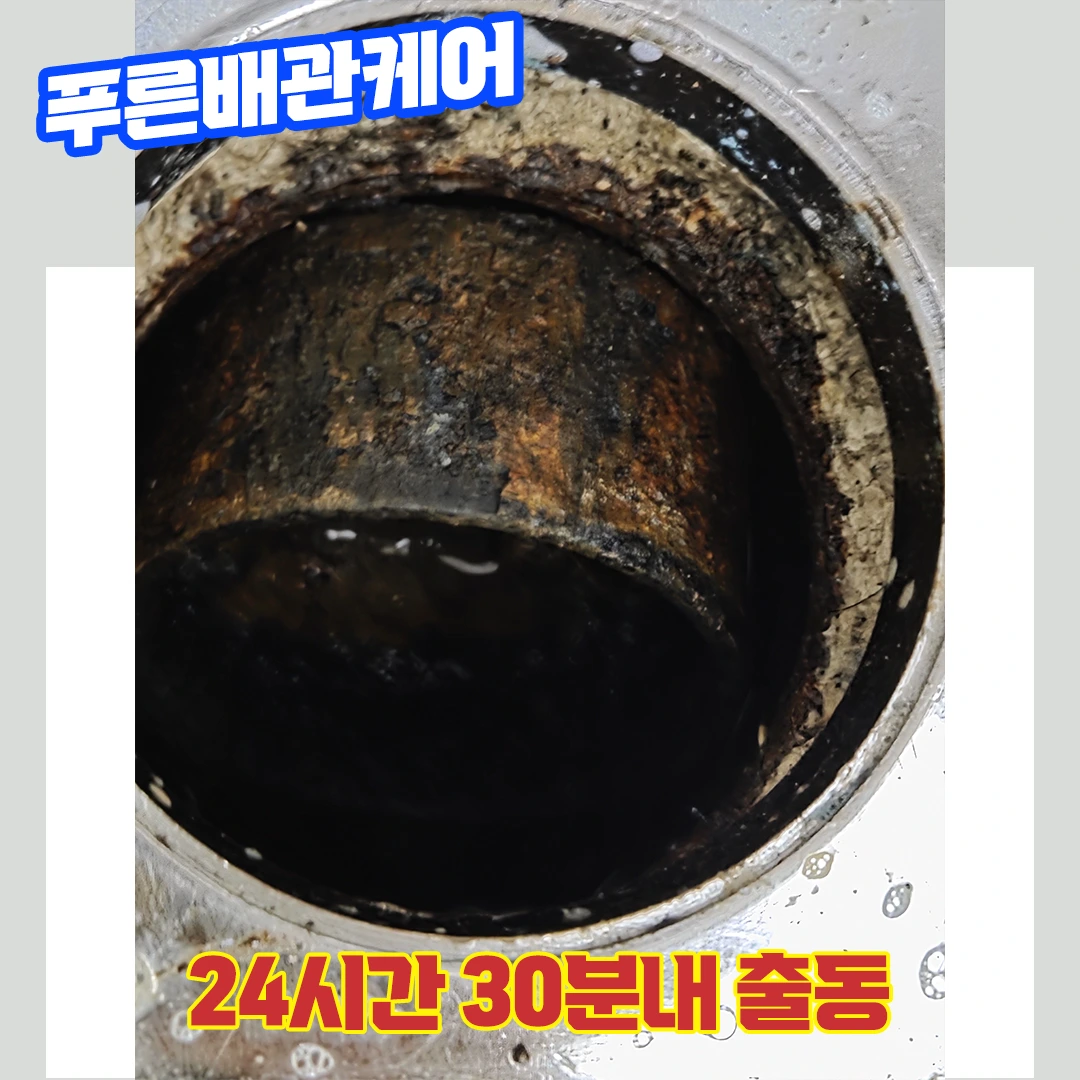 동대문화장실막힘