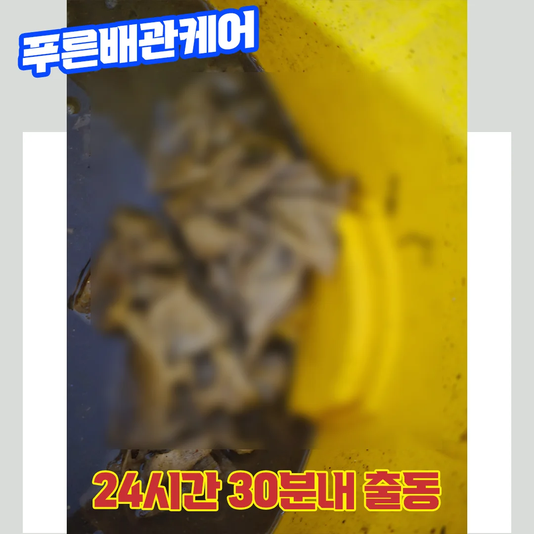 고양변기막힘