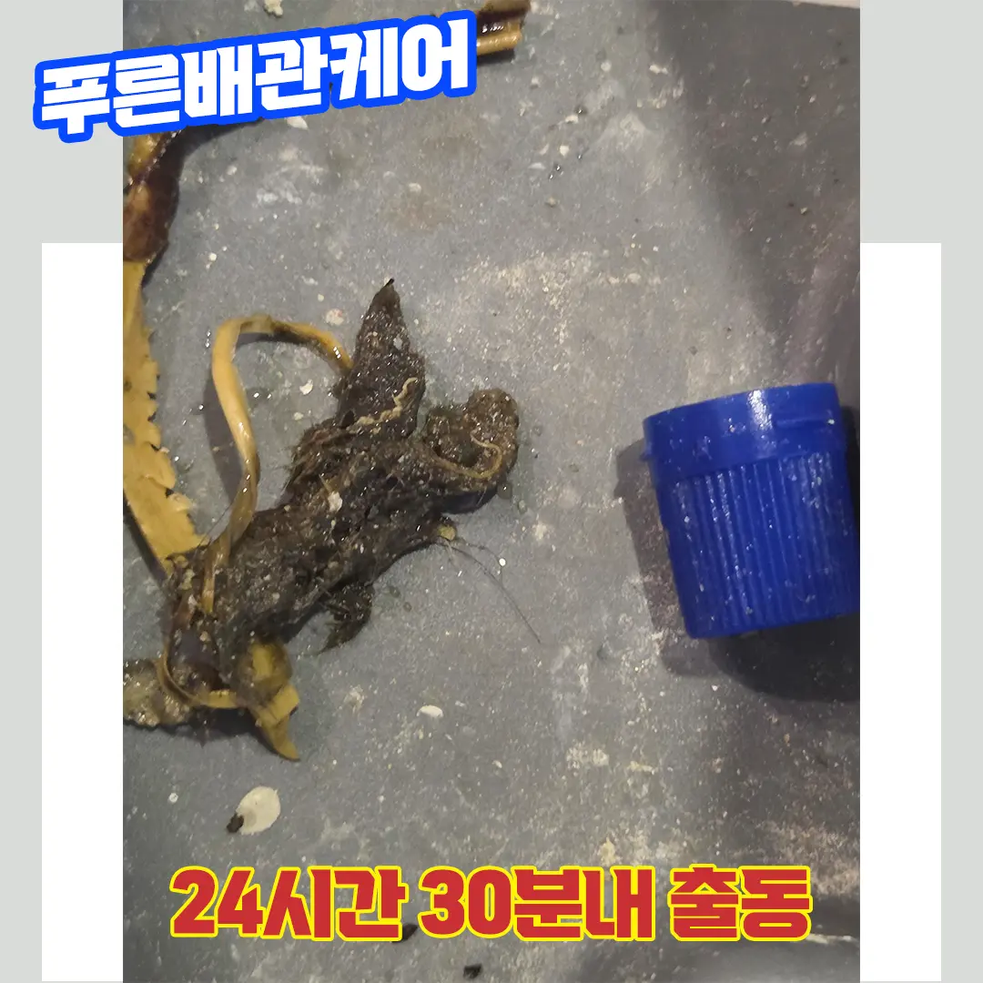 동대문싱크대뚫는업체