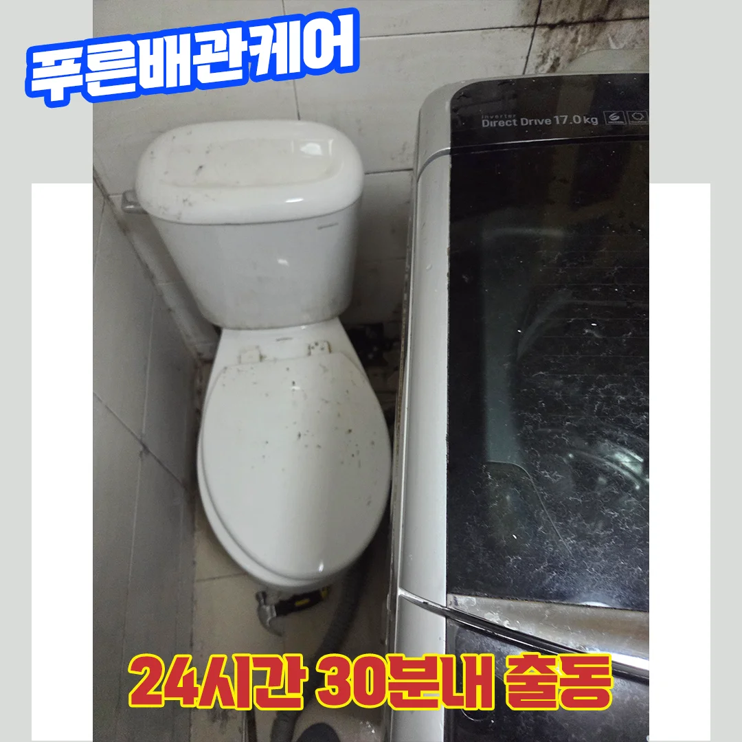 변기뚫는업체