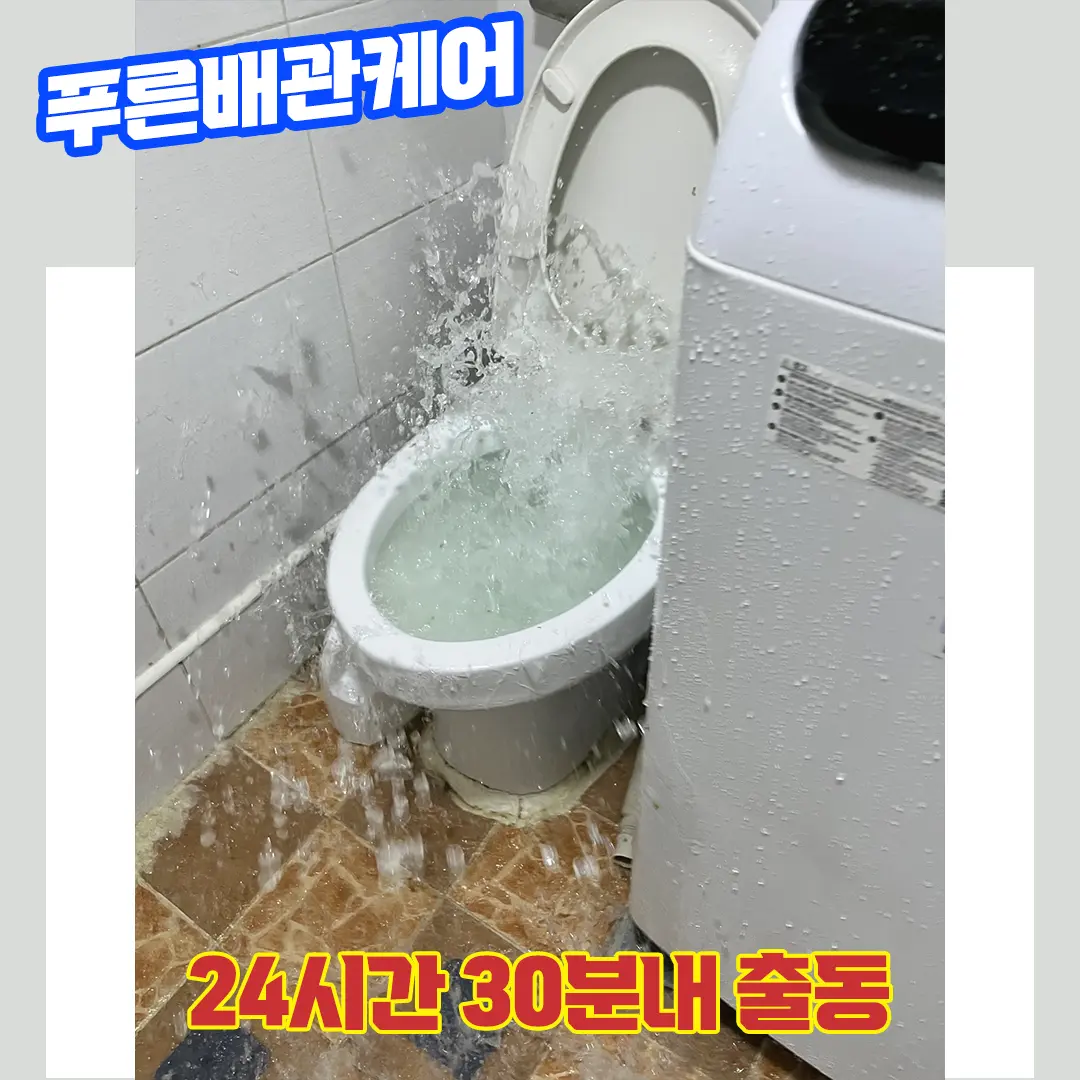 운정변기막힘비용