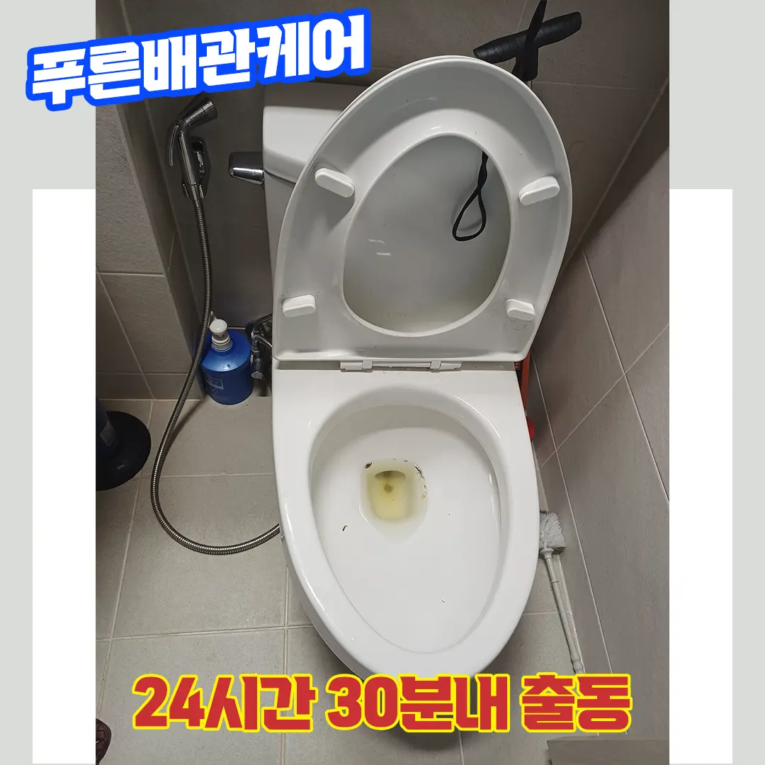 변기뚫는업체추천