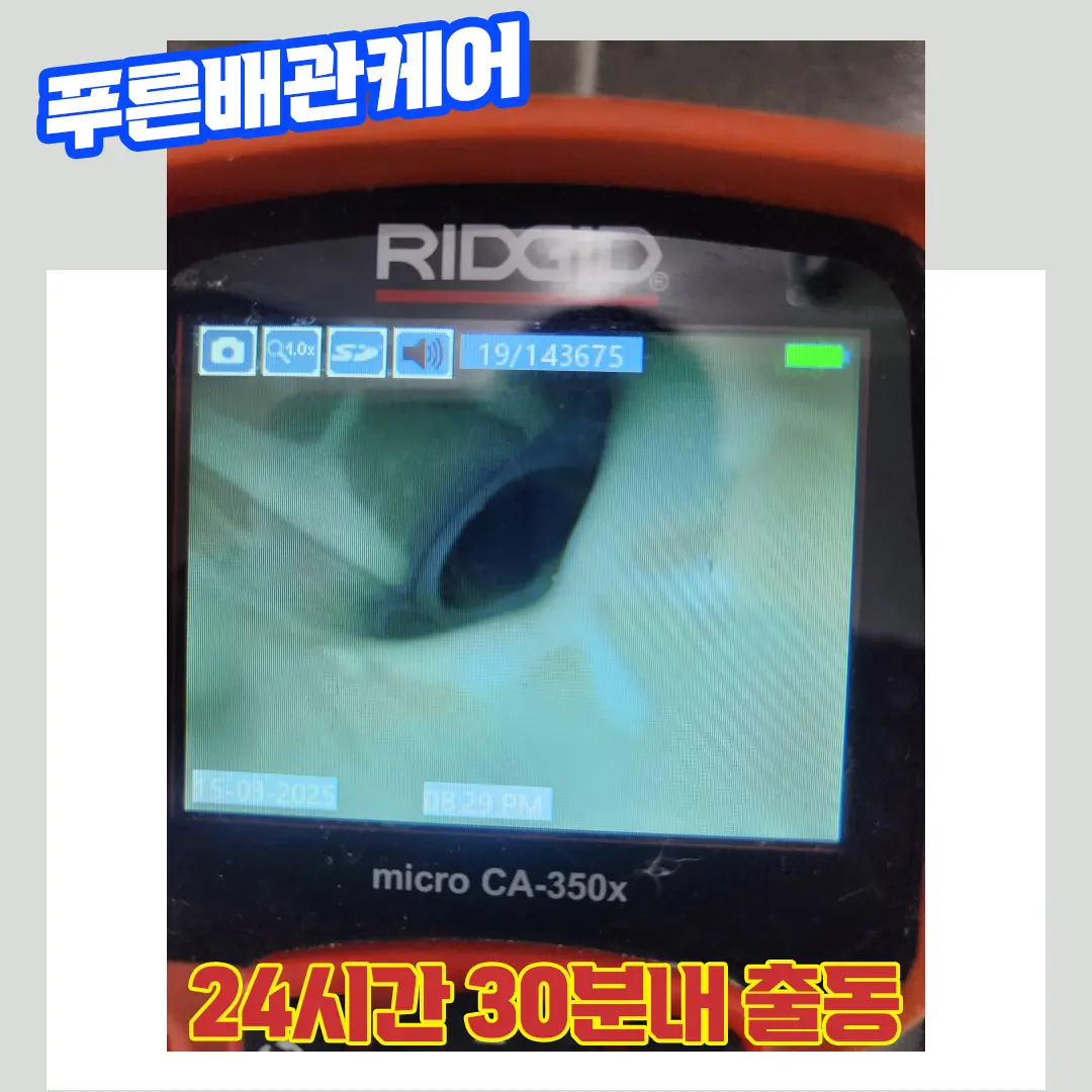 검단변기뚫는곳