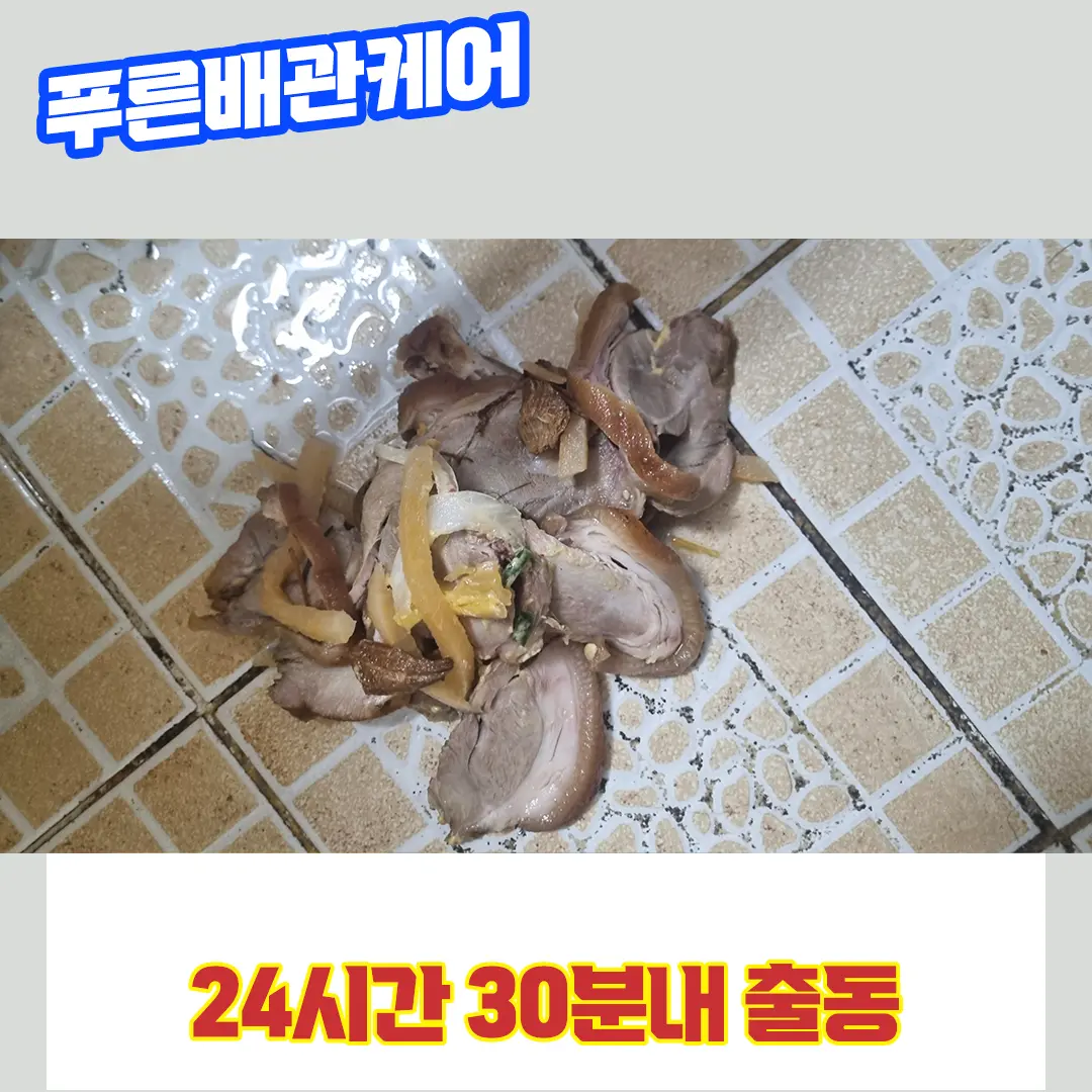 인천서구변기막힘