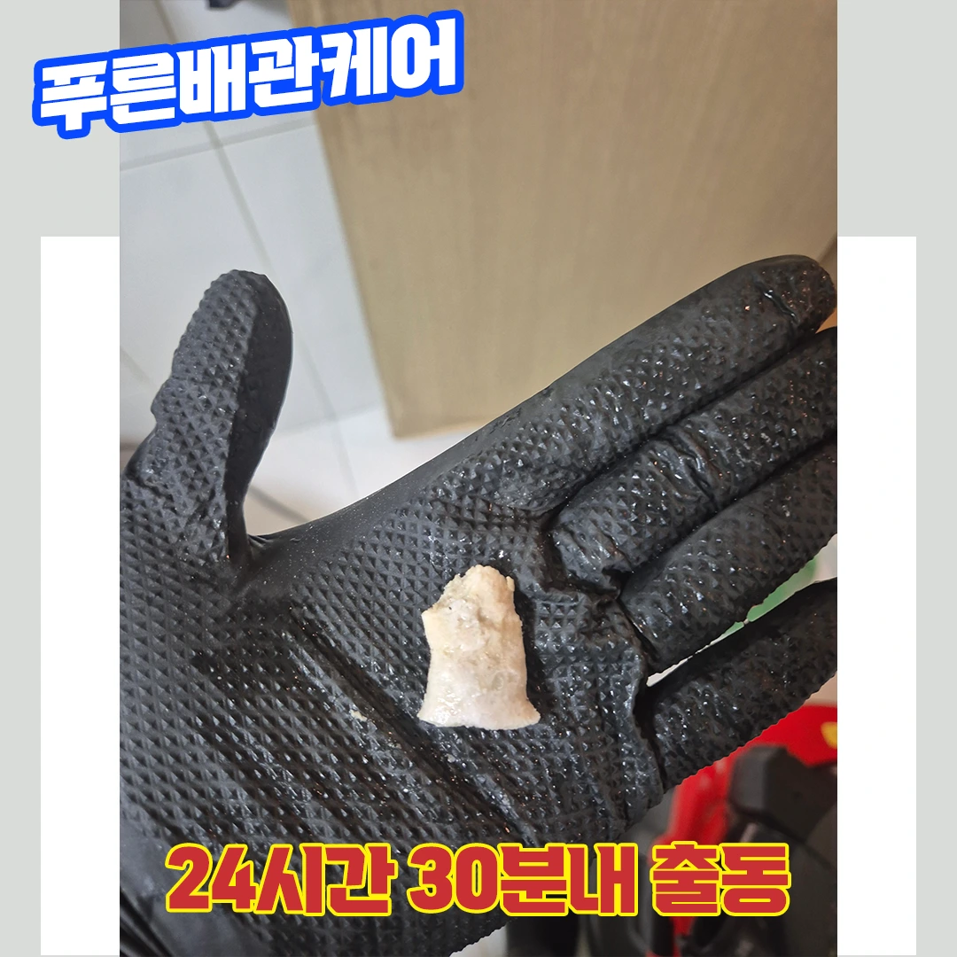 파주화장실뚫는업체