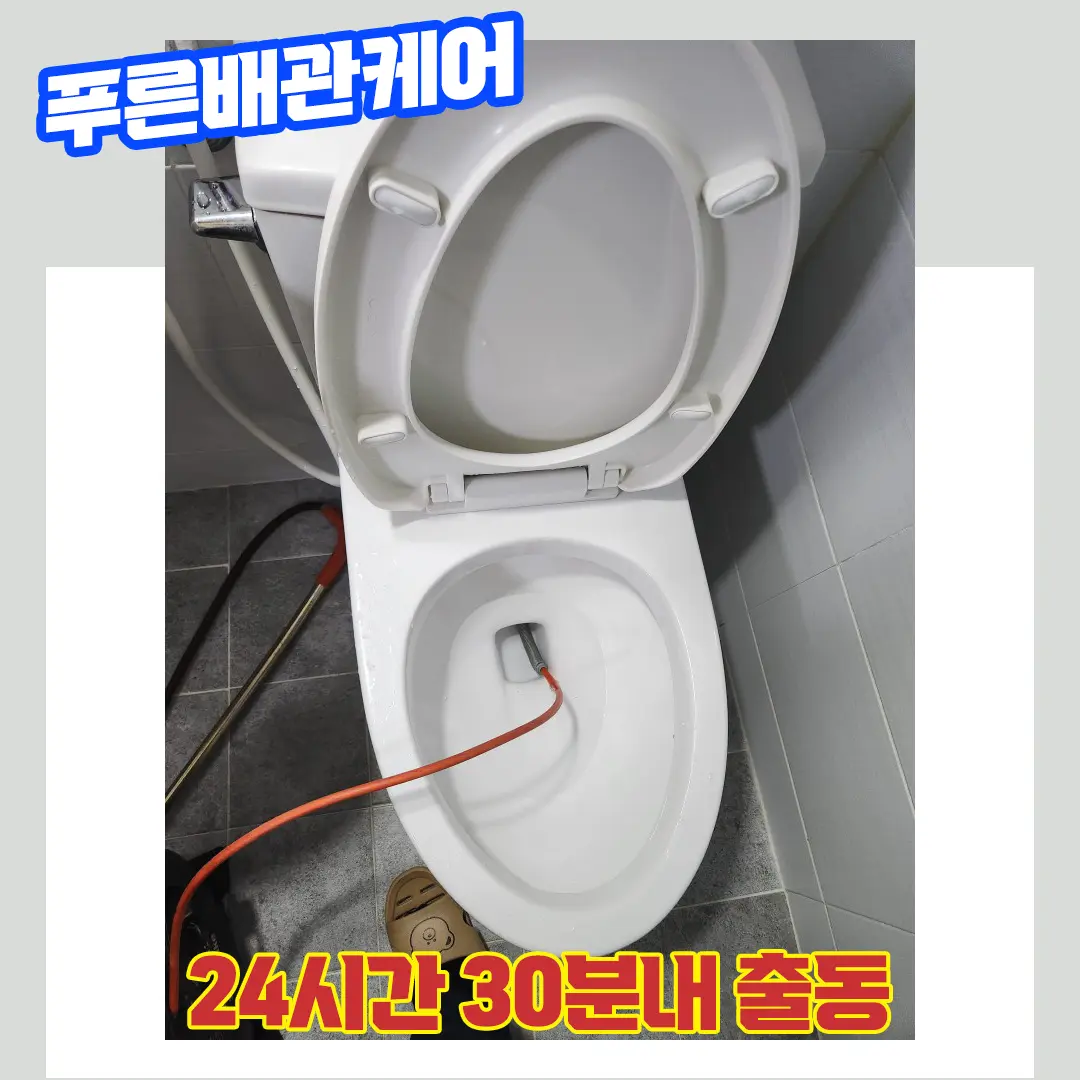 변기막힘