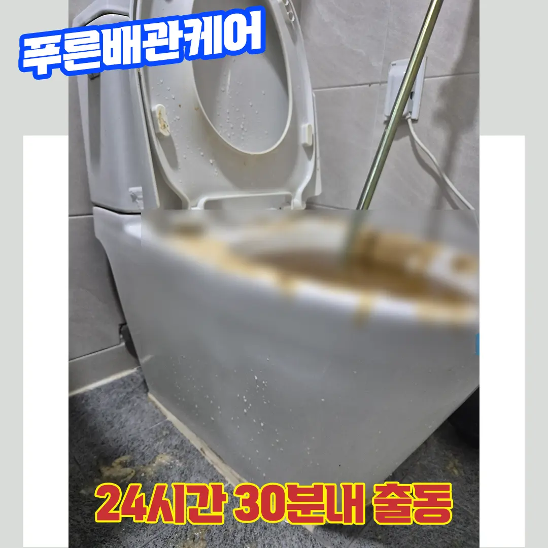 변기막힘
