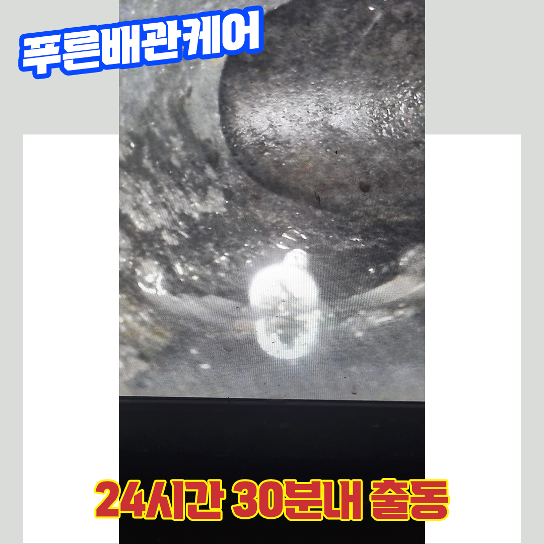 김포배관막힘