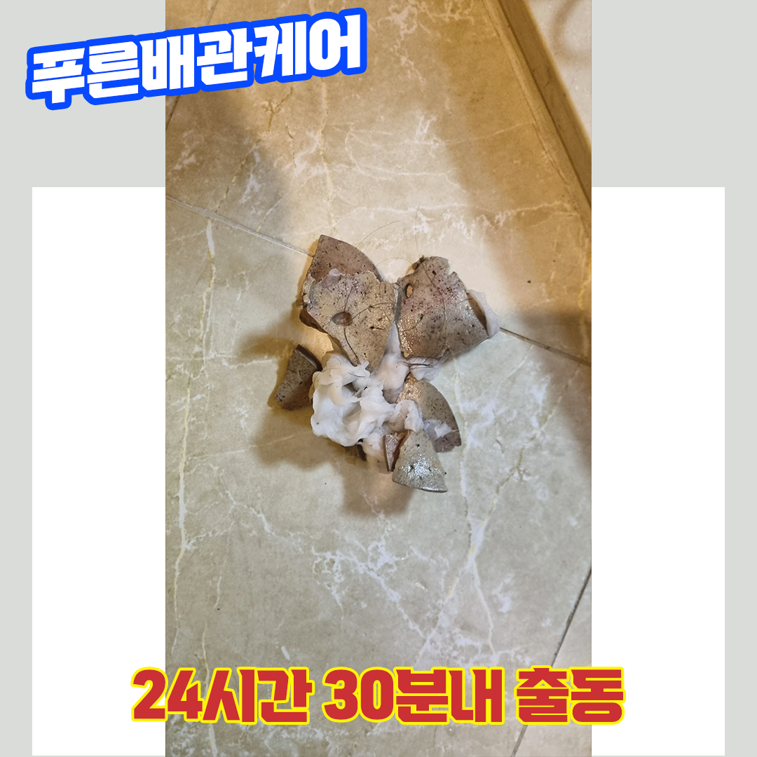 배곧변기막힘