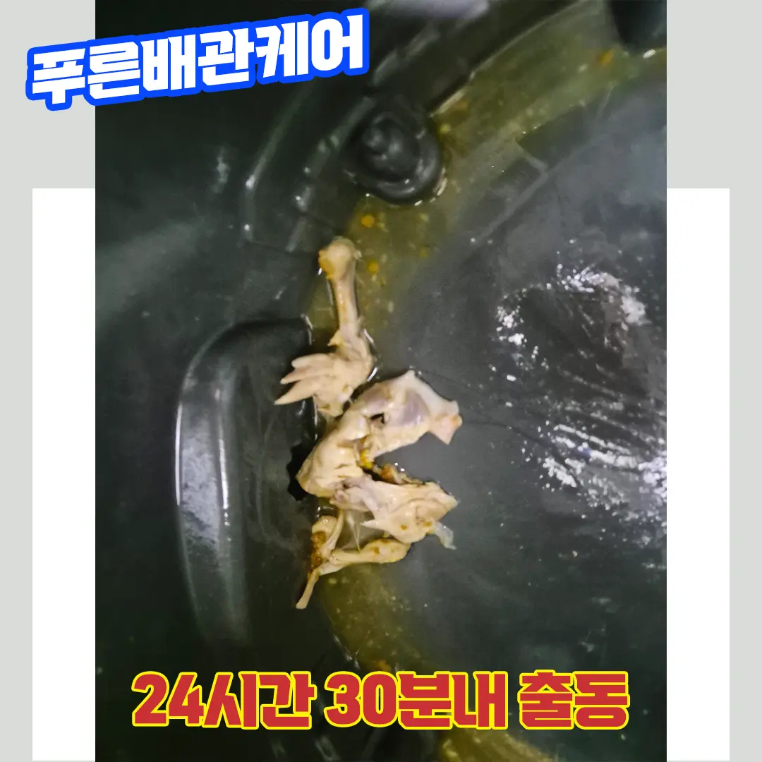 덕양구변기막힘