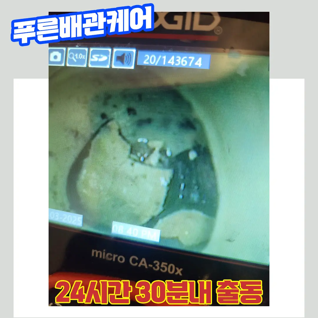 일산배수구막힘