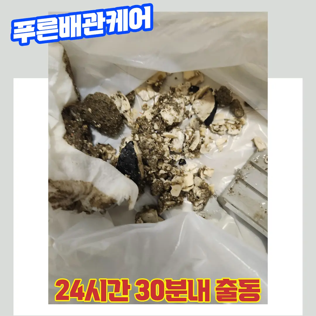 화장실배수구막힘