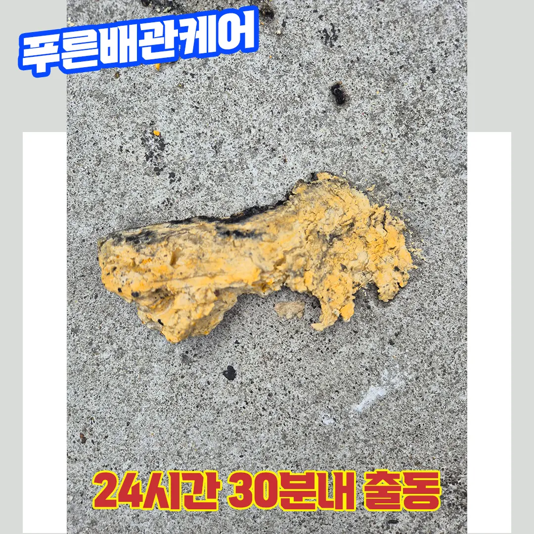 하수구뚫는업체
