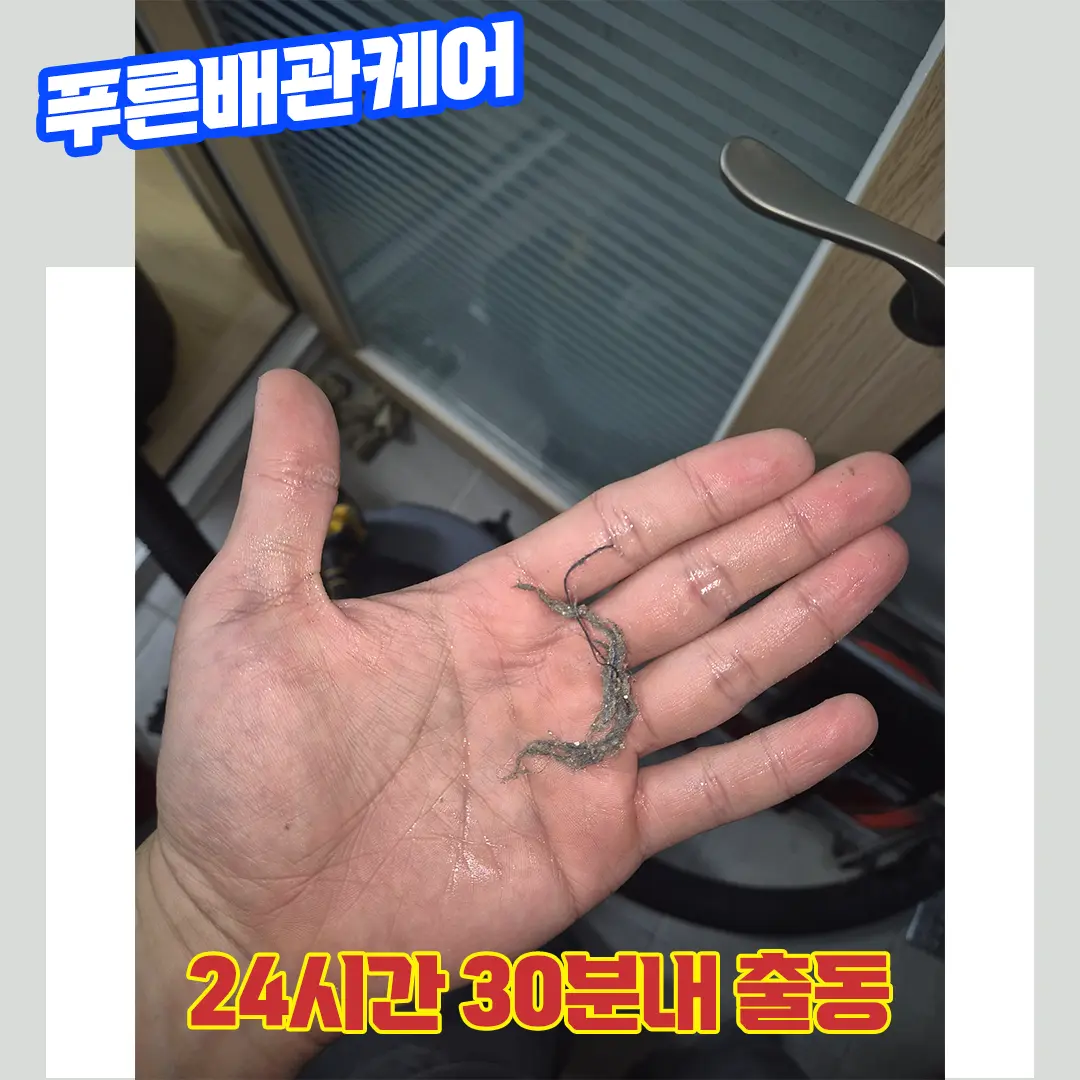 배수구막힘비용