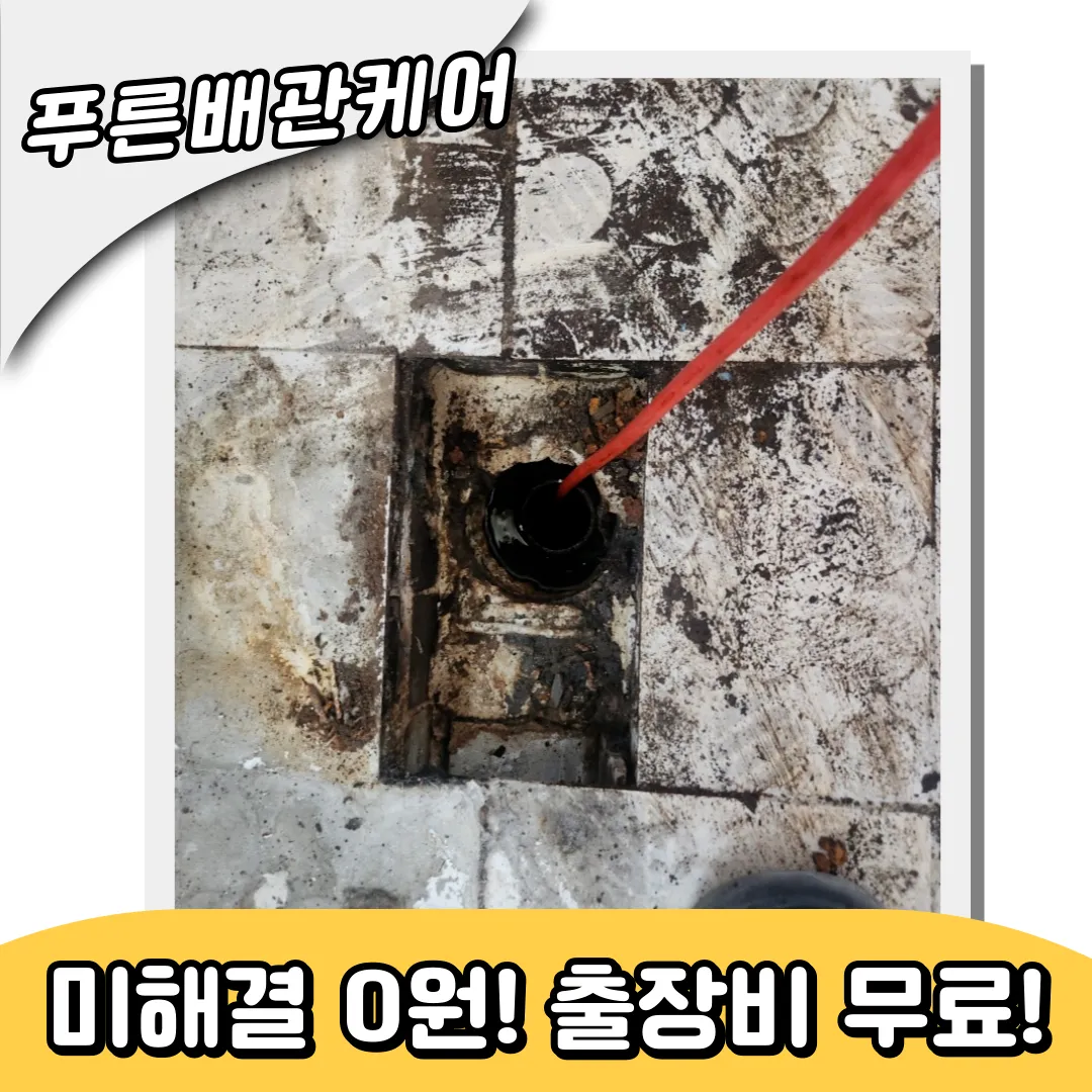 하수구역류