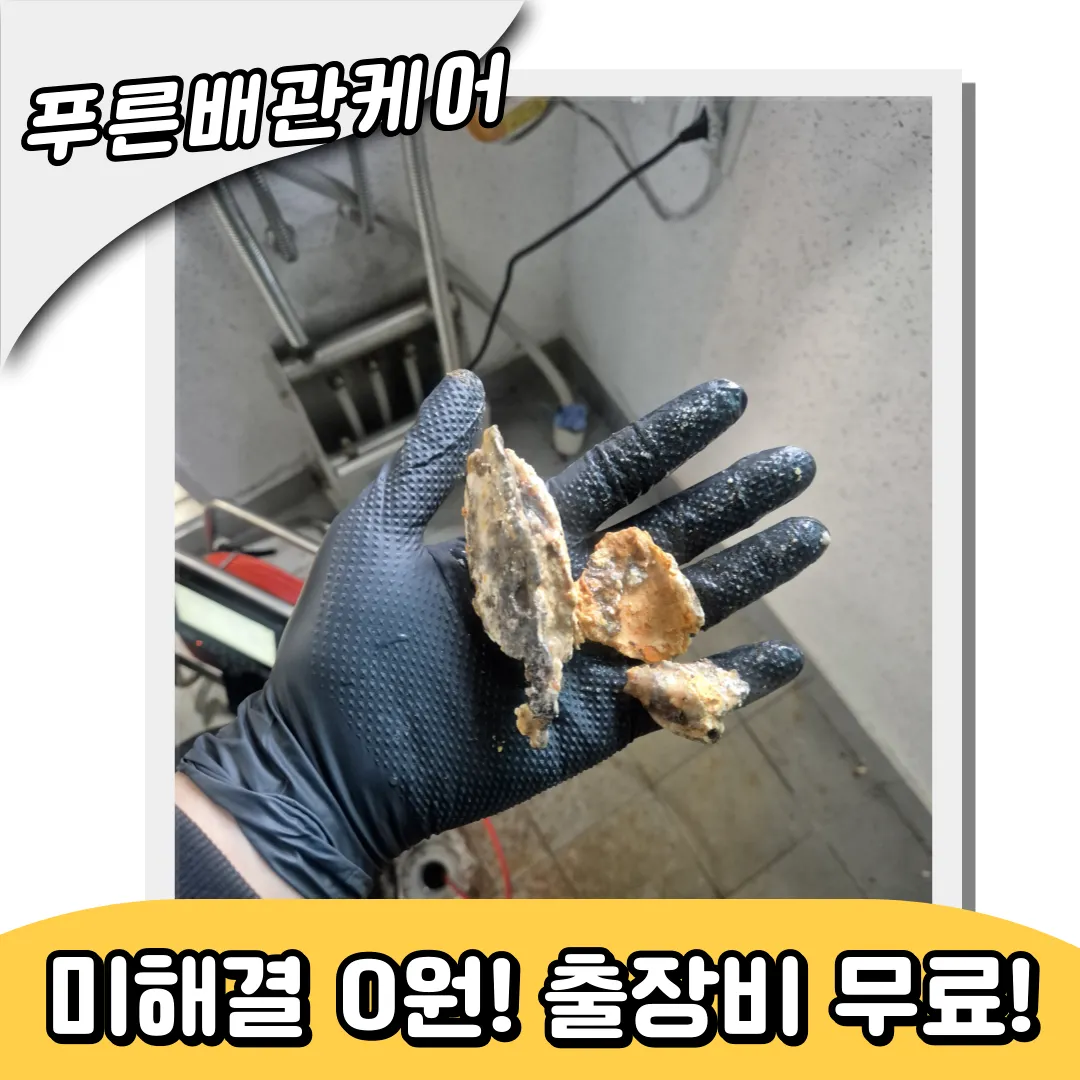 하수구역류