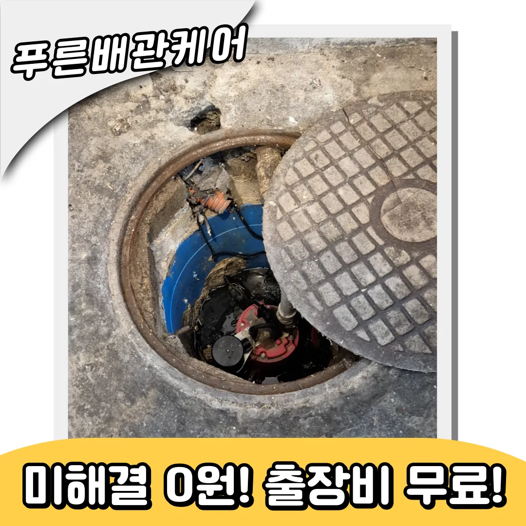하수구역류