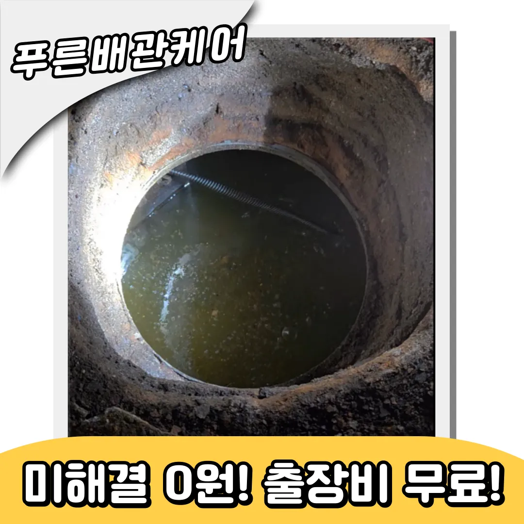 변기역류