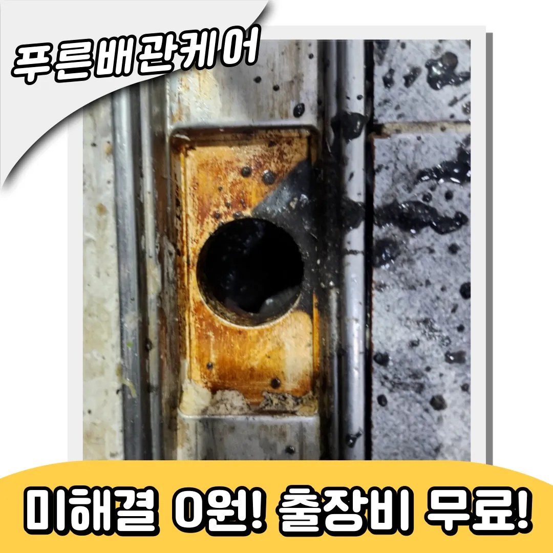 하수구역류