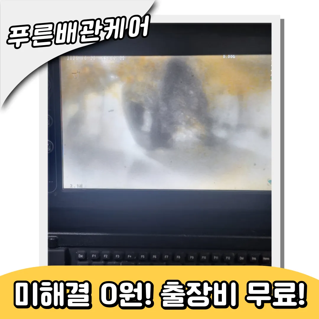 화장실뚫는업체