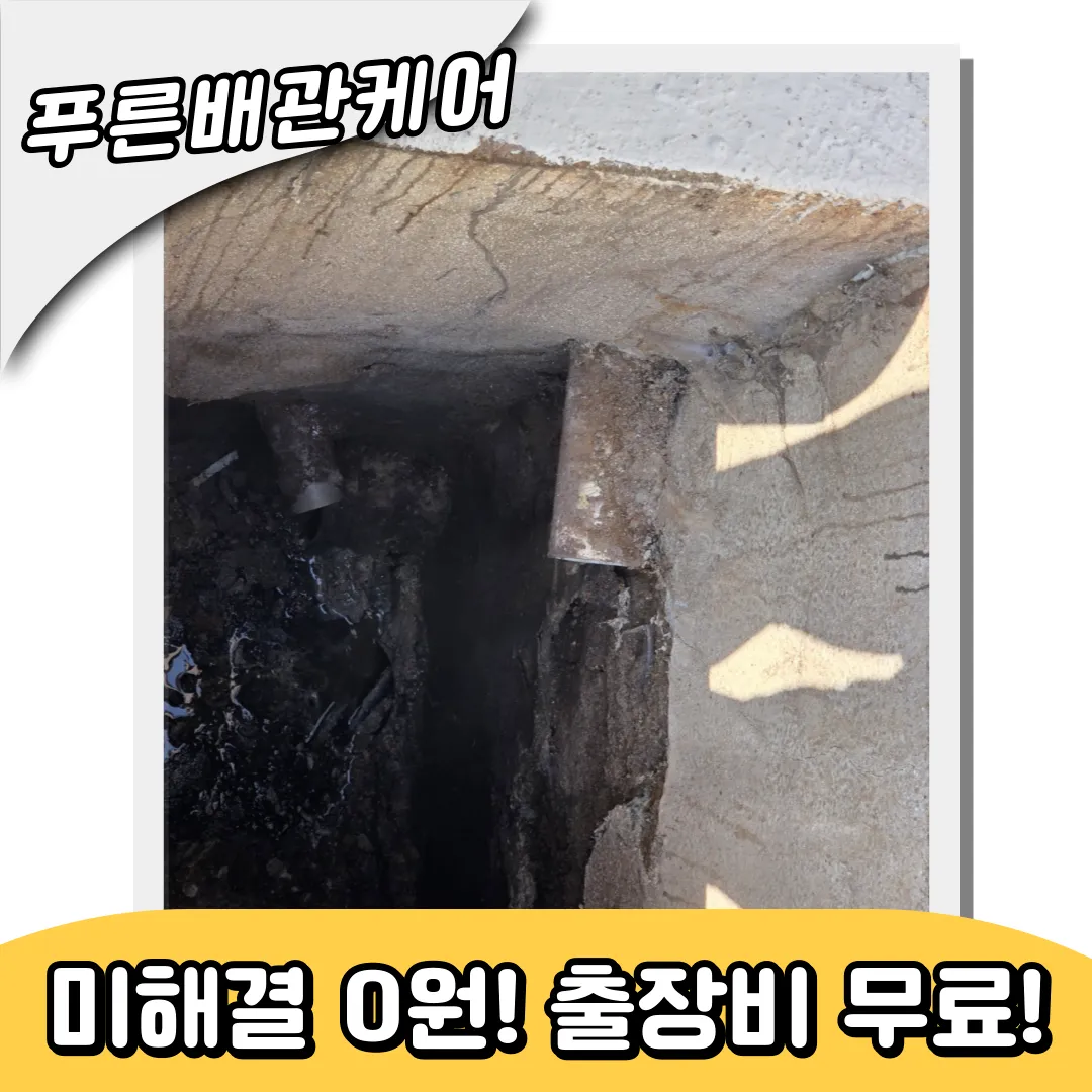 하수구역류