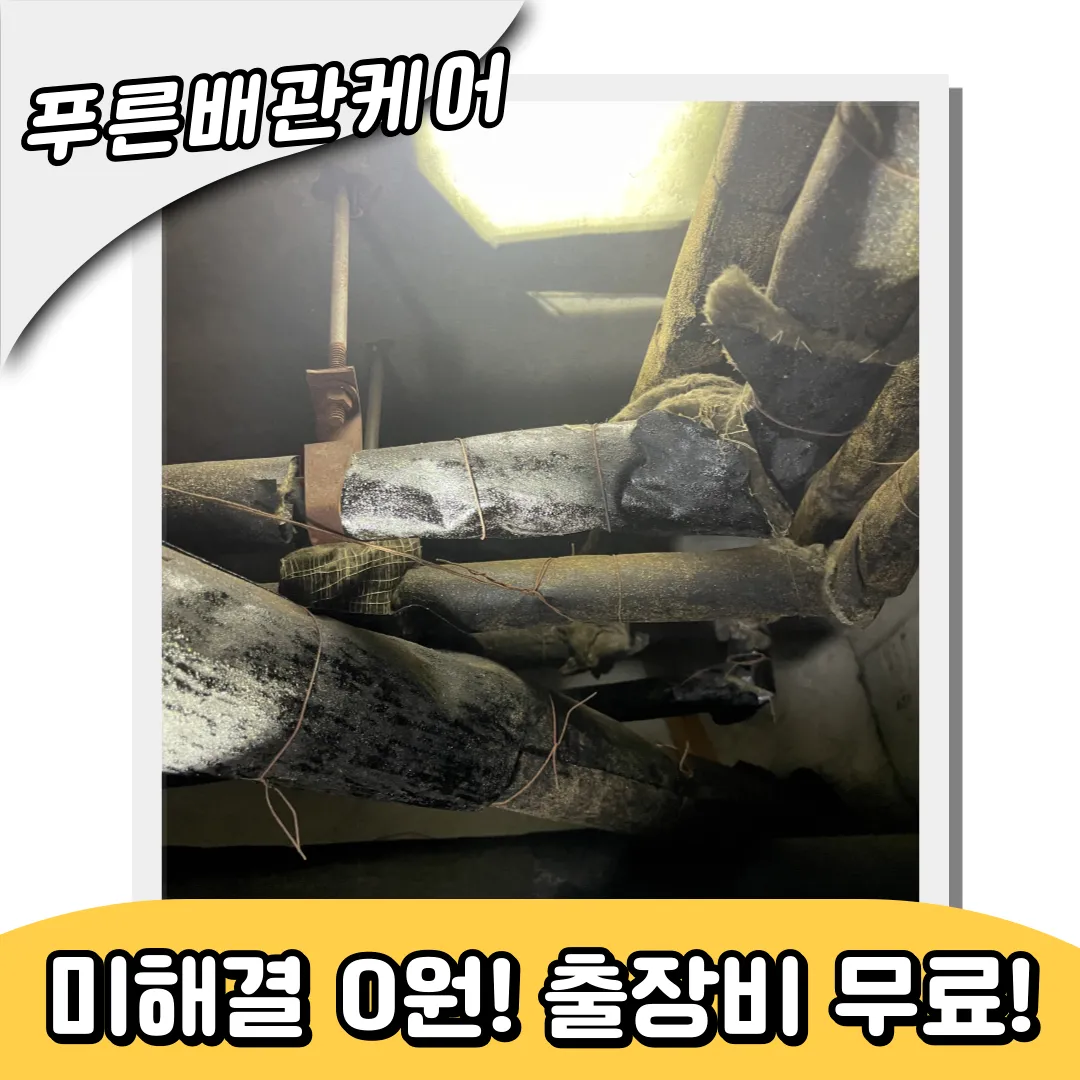 변기역류해결방법