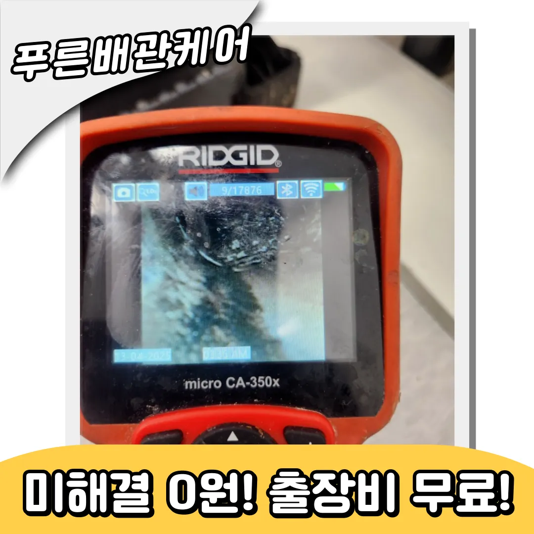 성수도배수구역류