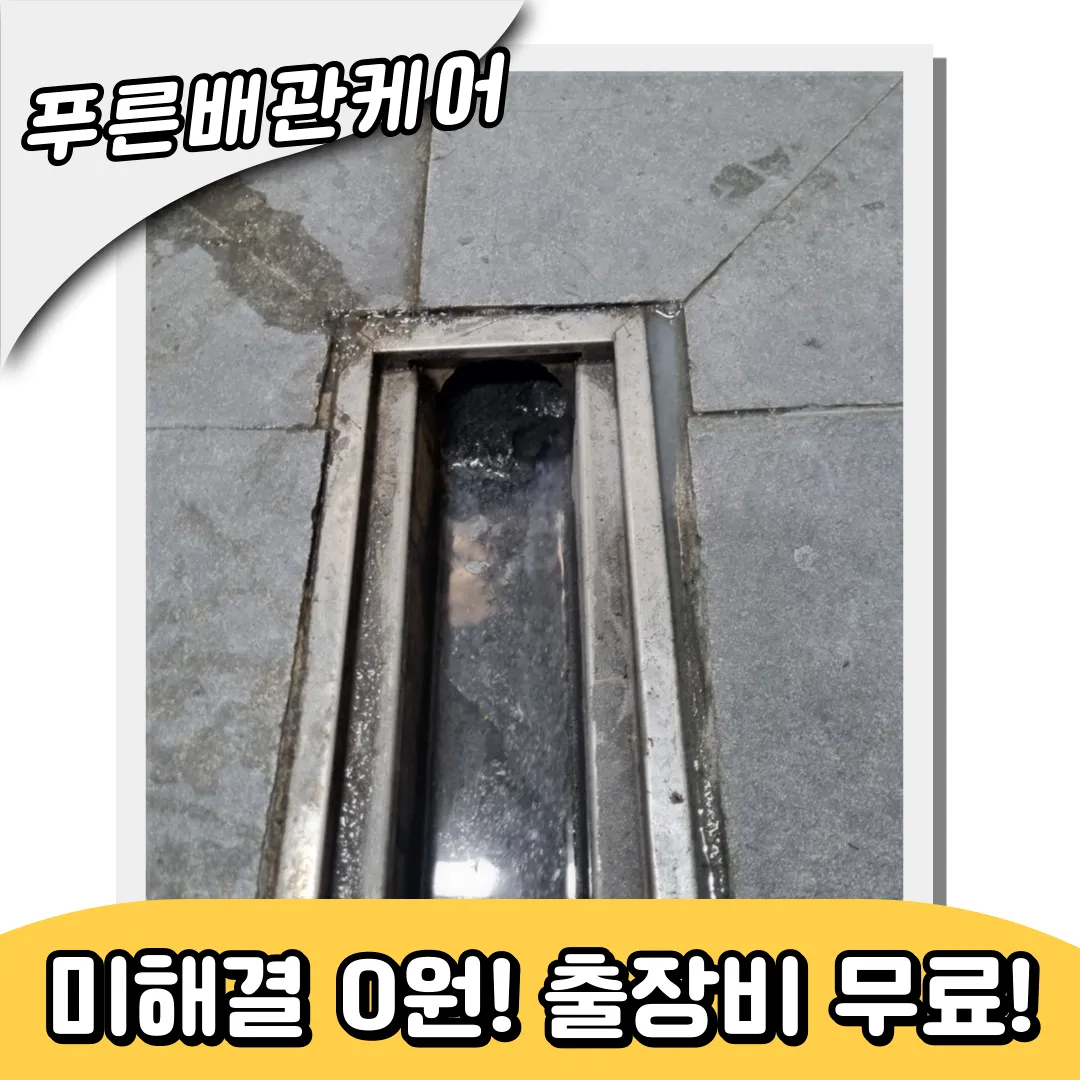 하수구역류업체