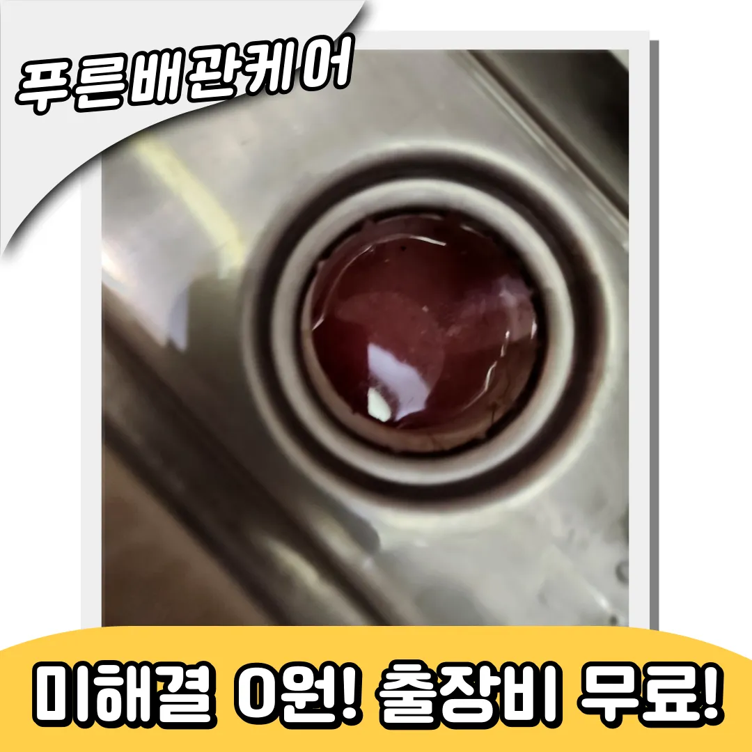 강동구하수구역류