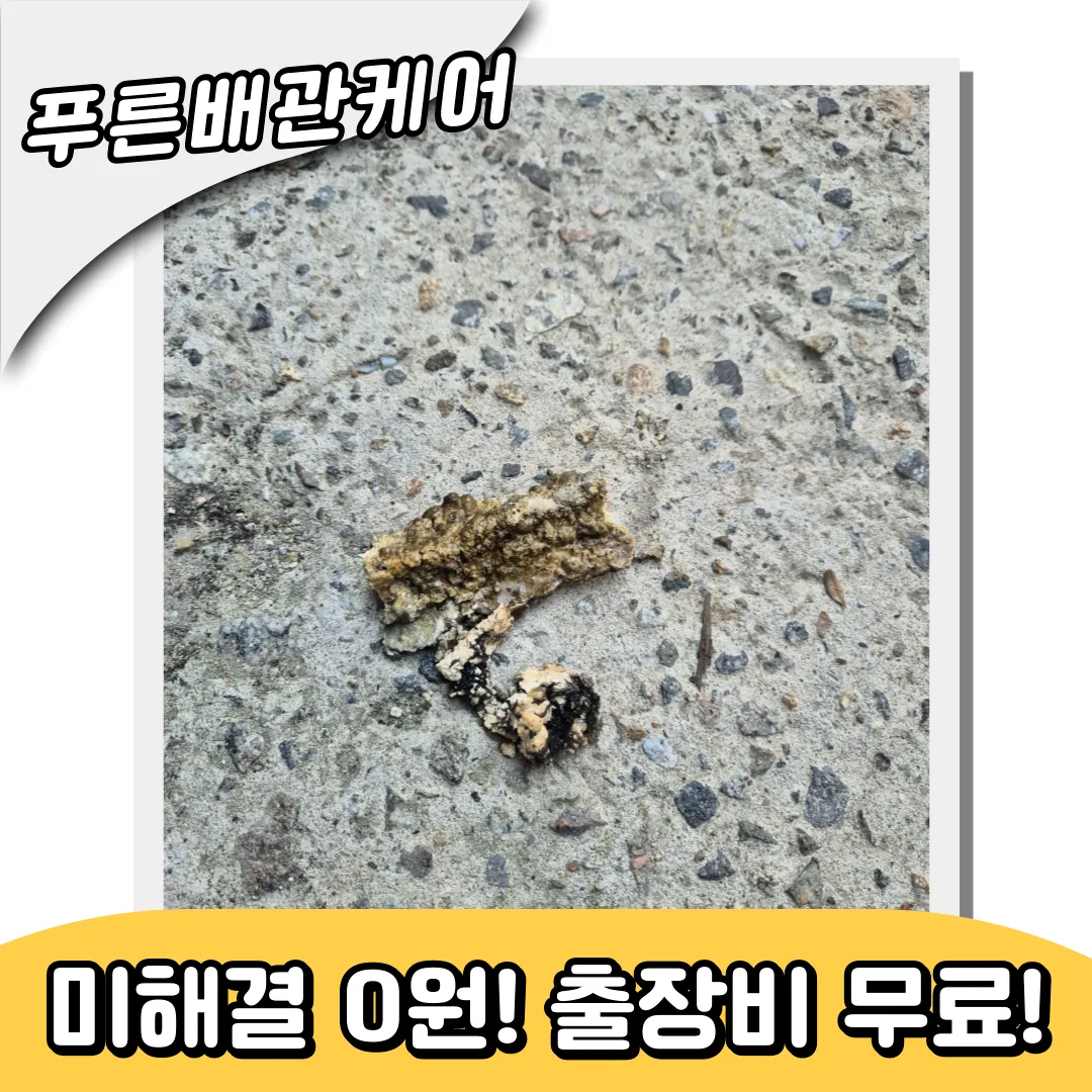 변기뚫는업체