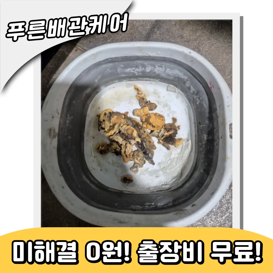 하수구역류해결