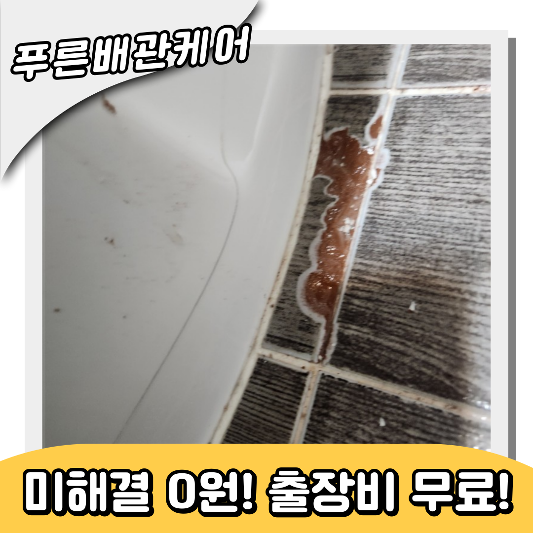 변기역류